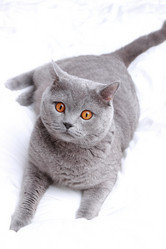 Similar image 11138622