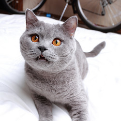 Similar image 11138623