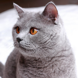 Similar image 11138625