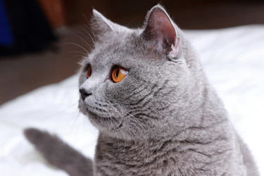 Similar image 11138630