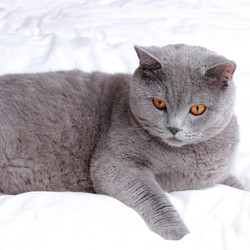 Similar image 11138634