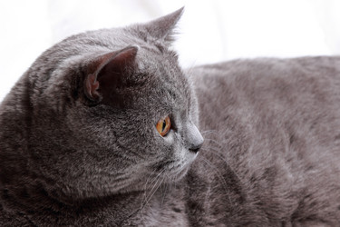 Similar image 11138636