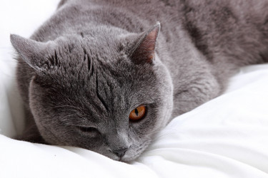 Similar image 11138638