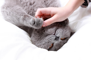 Similar image 11138640