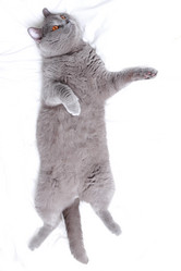 Similar image 11138642