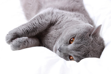 Similar image 11138644