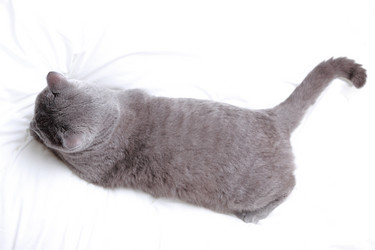 Similar image 11138645