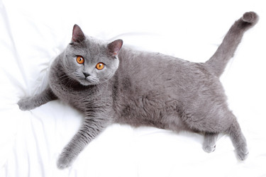 Similar image 11138654