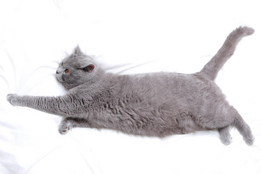 Similar image 11138658