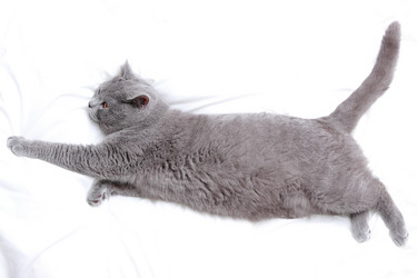 Similar image 11138660