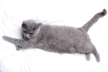 Similar image 11138662