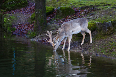 Similar image 10992945