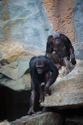 Similar image 10992951