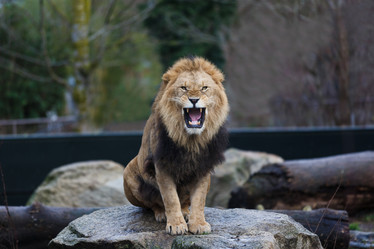 Similar image 10992957