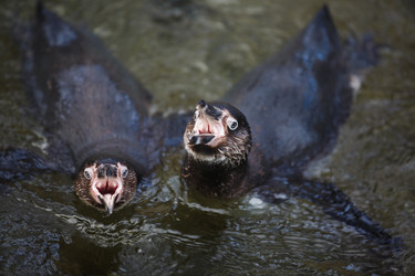 Similar image 10992962