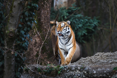 Similar image 10992968