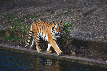 Similar image 10992973