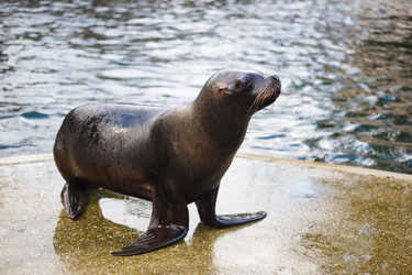 Similar image 10992978