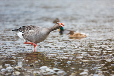 Similar image 10993028