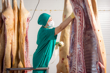 Similar image 11136294