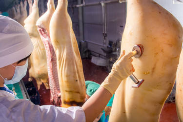 Similar image 11136296