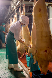 Similar image 11136297