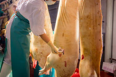 Similar image 11136311