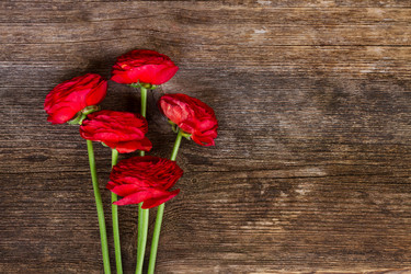 Similar image 11143967