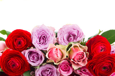 Similar image 11144343