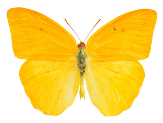 Similar image 11144387