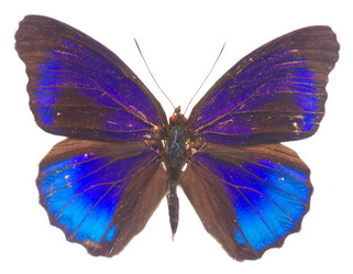 Similar image 11144388