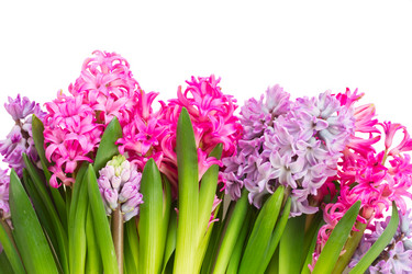 Similar image 11143864