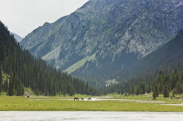 Similar image 11280688