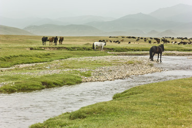 Similar image 11280703