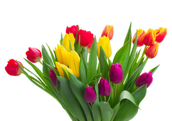 Similar image 11144345