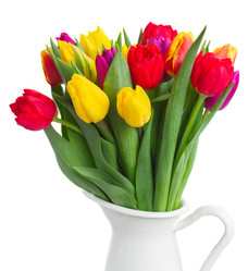 Similar image 11144347