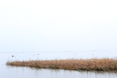 Similar image 11052493