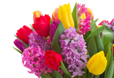 Similar image 11144438