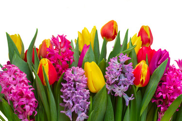 Similar image 11142525