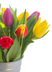 Similar image 11142569