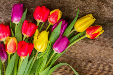 Similar image 11142570