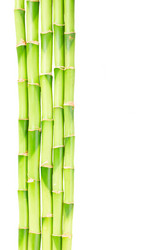 Similar image 11142605