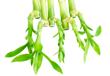 Similar image 11142606