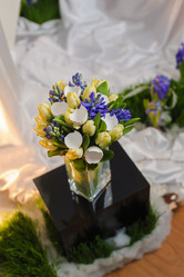 Similar image 10959123