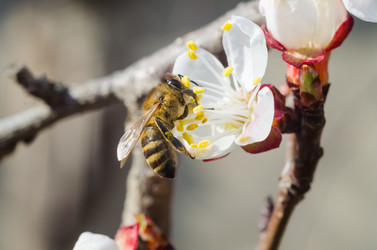 Similar image 10959088