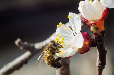 Similar image 10959090