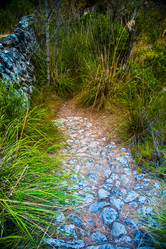 Similar image 11046386