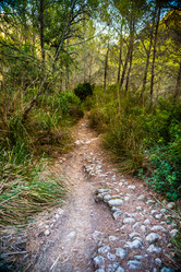 Similar image 11046405