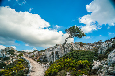 Similar image 11046406