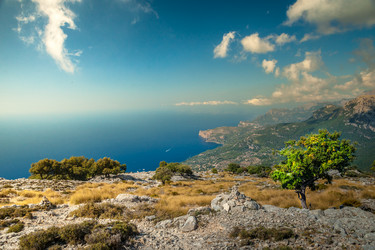 Similar image 11046409